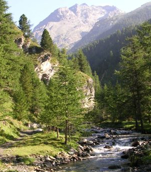 Sentieri Escursionistici - Pontechianale - Valle Varaita - Cuneo